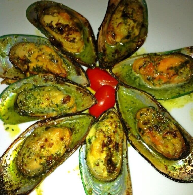 New Zealand mussel