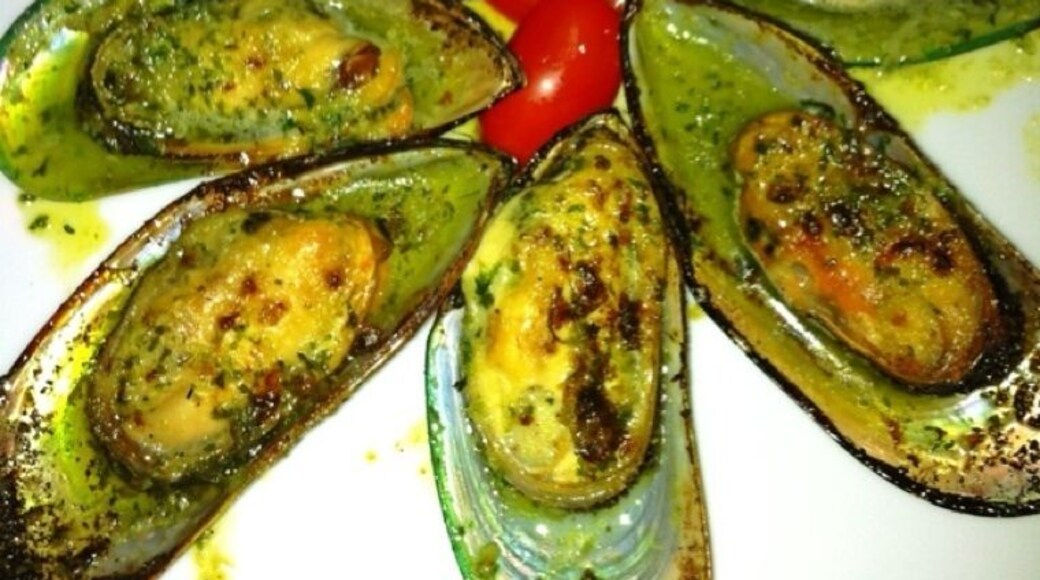 New Zealand mussel