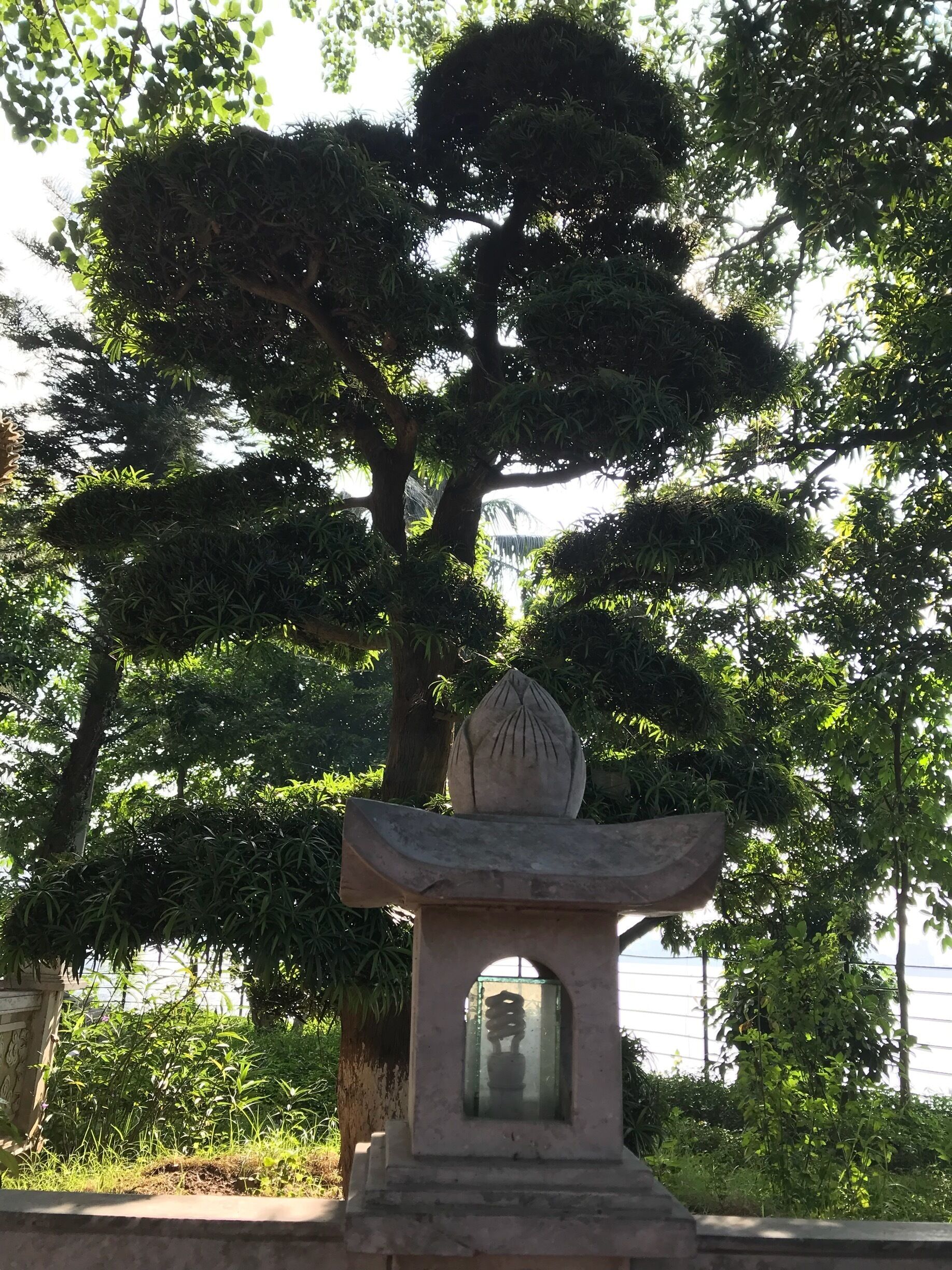 #lifeatexpedia A walk through this pagoda has lots of breath-taking views