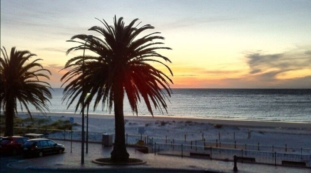 #sunset #sea #beach #palmtree #adelaide