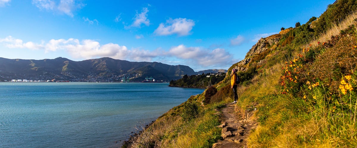 hiker girl admiring the idyllic scenery of lyttelton bay at coastal cliff walk from hays bay to church bay and diamond bay, banks peninsula, canterbury, new zealand
