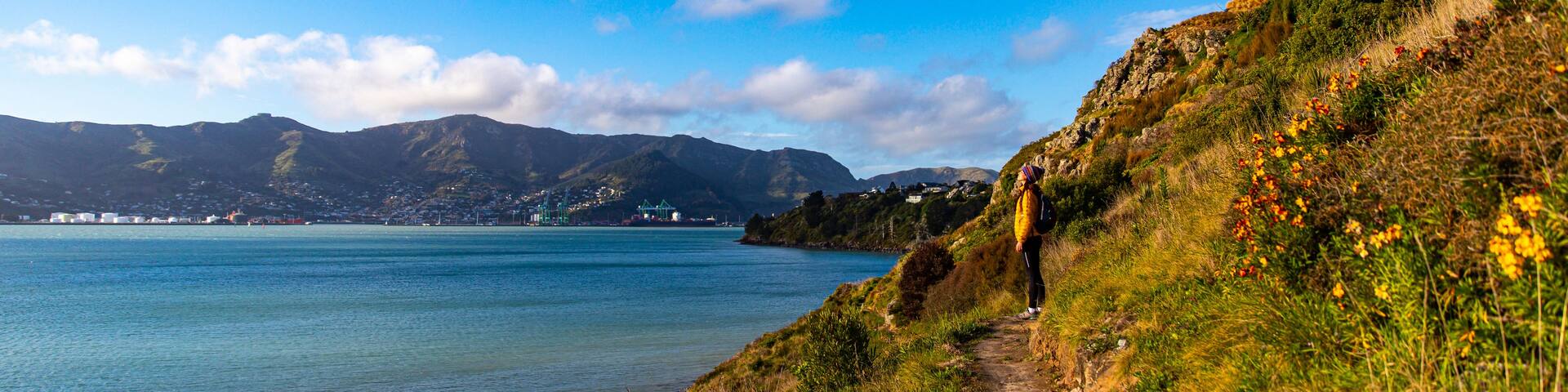 A coastal landscape with a clear sky, a body of water, a hilly terrain with vegetation, and a distant town.