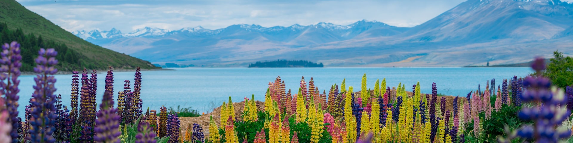 Um lago com montanhas ao fundo e flores coloridas em primeiro plano.