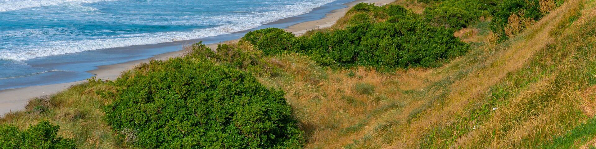 Saint Claire, Saint Kilda and Lawyers Head Beaches in Dunedin, New Zealand