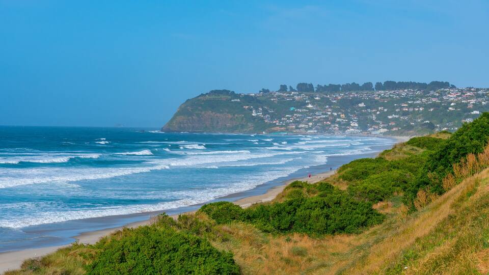Saint Claire, Saint Kilda and Lawyers Head Beaches in Dunedin, New Zealand
