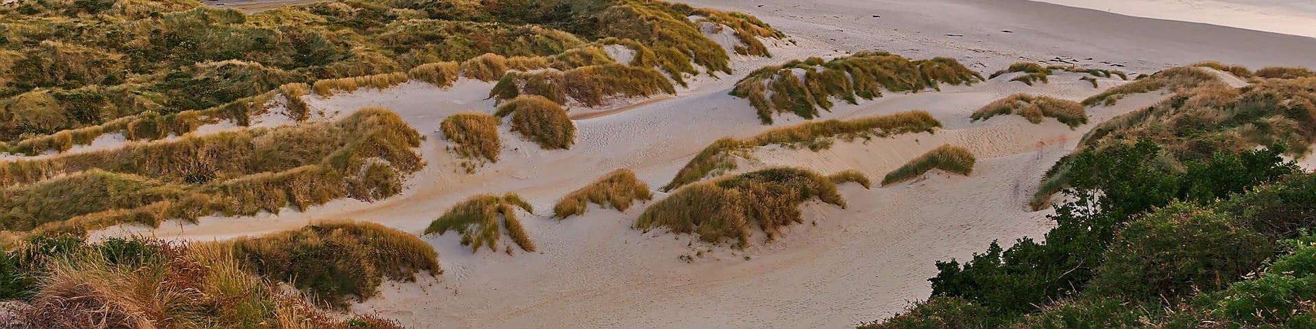 A coastal landscape with sand dunes, grassy vegetation, and rocky outcrops in the sea.