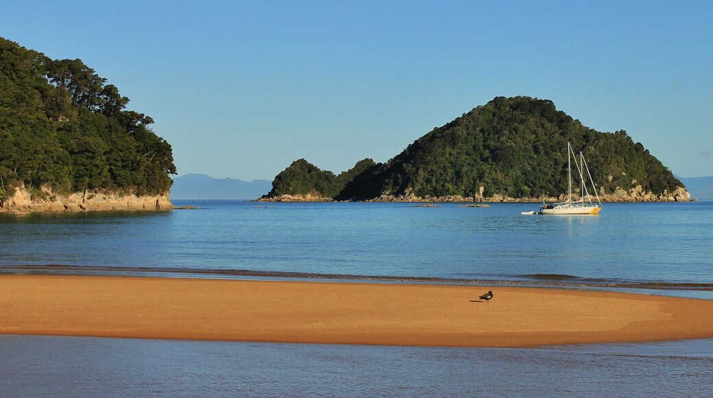 Tonga Island, Abel Tasman National Park, New Zealand.