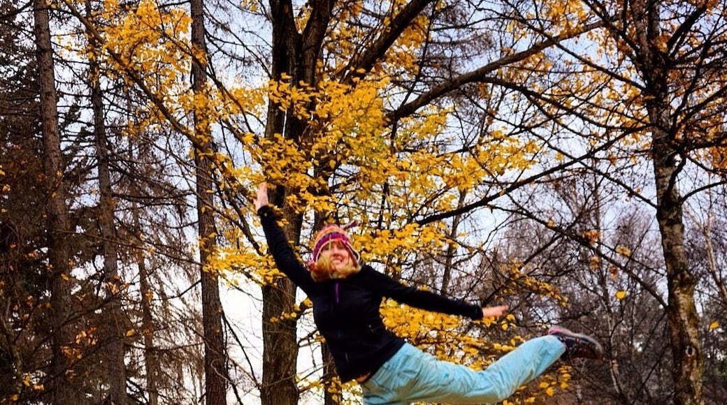 We found a street where it's still autumn - not winter! :) Loving New Zealand's colours!
#alifefullofserendipity #serendipitytess #travel #travelling #travelblogger #nomad #globetrotter #rtw #wanderlust #photooftheday #adventure #travelphotography #photo #newzealand #southisland
#NZmustdo #tree #autumn #leaf #yoga #pose #happiness #fun #lovewanaka