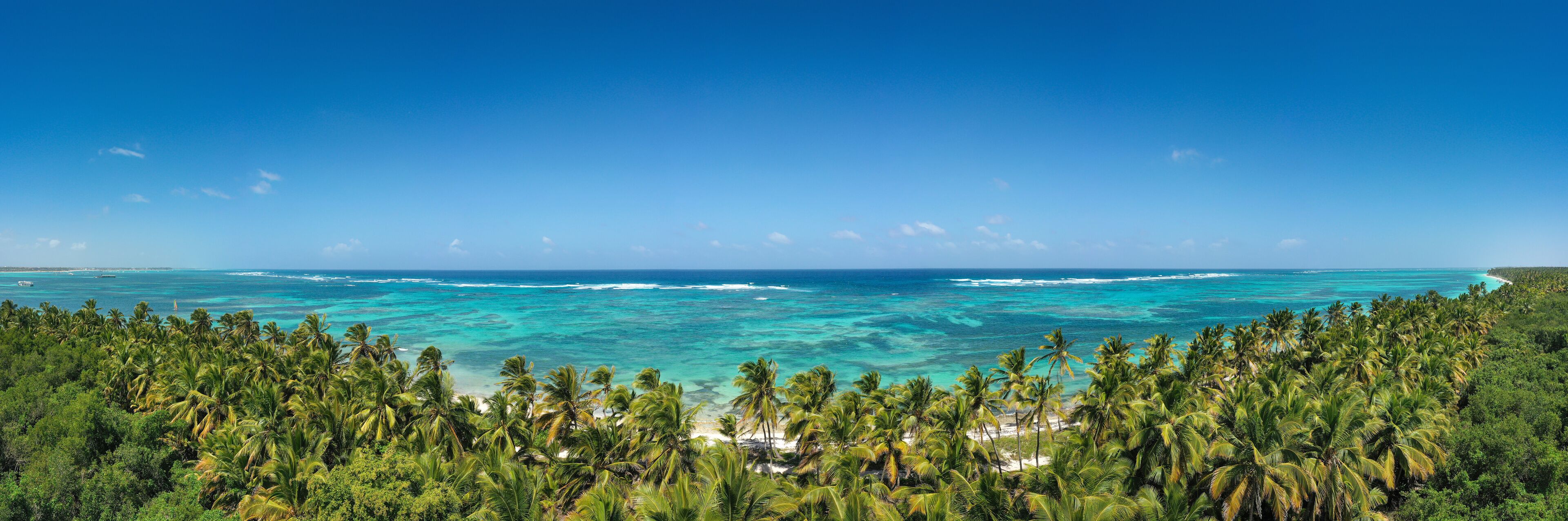 Wild tropical seashore with coconut palm trees and turquoise caribbean sea. Travel destination. Aerial panorama view