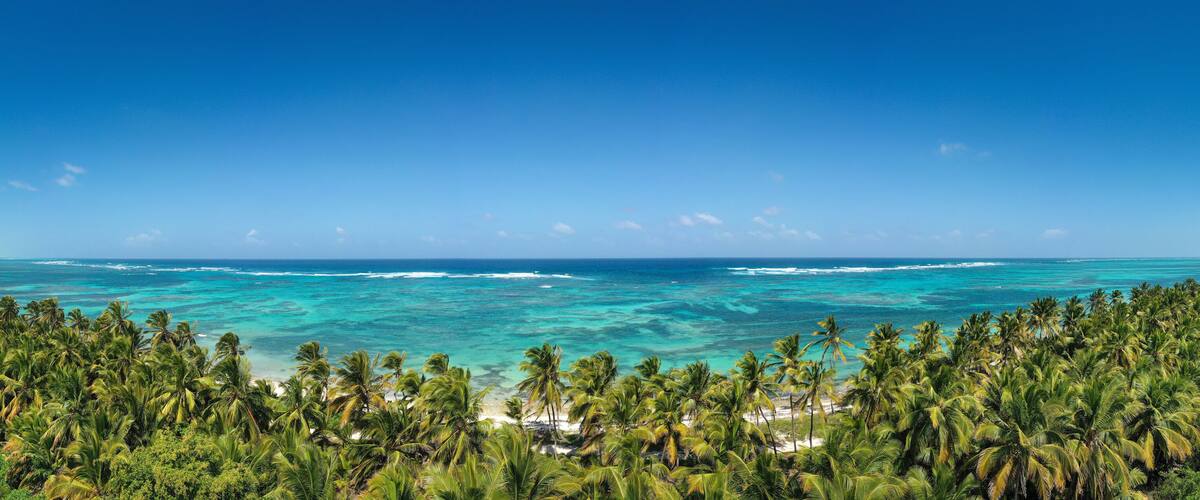 Wild tropical seashore with coconut palm trees and turquoise caribbean sea. Travel destination. Aerial panorama view