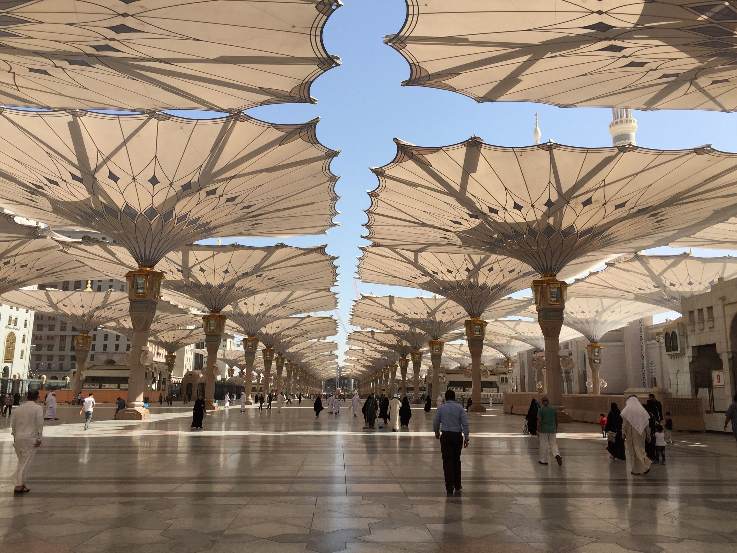 Mohamed pease upon him