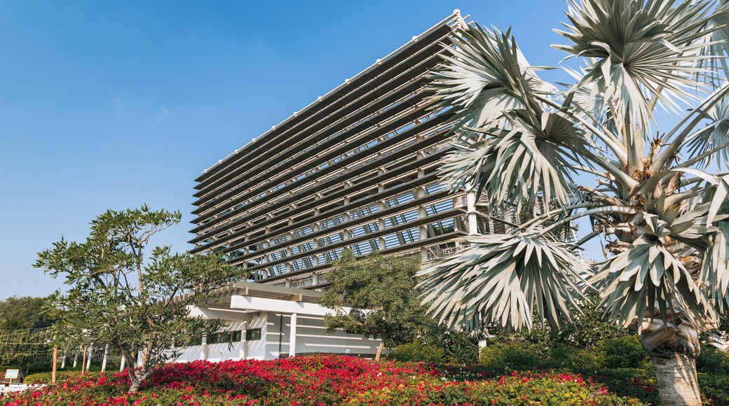 Abu Dhabi City Center