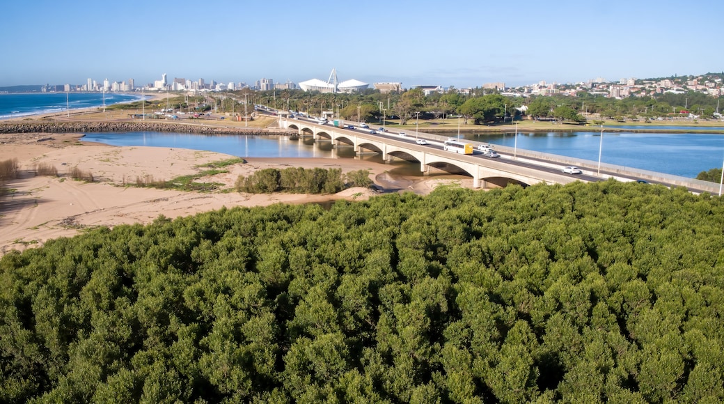 A wide aerial of the bridge and freeway crossing over the Umgeni River mouth with the Durban skyline in the distance.