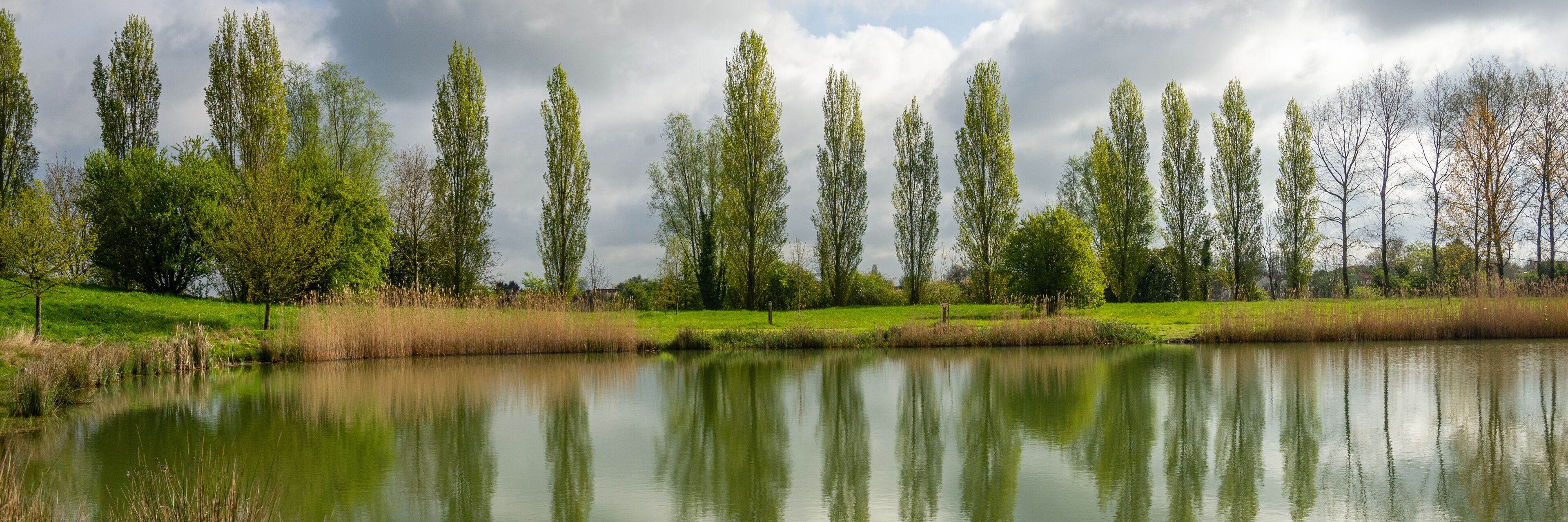 A calm lake with tall trees reflecting in the water, surrounded by grassy areas and a cloudy sky.