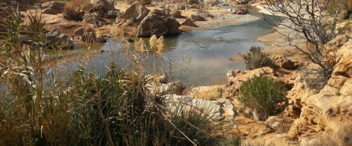 A dry riverbed with sparse vegetation and rocky terrain.