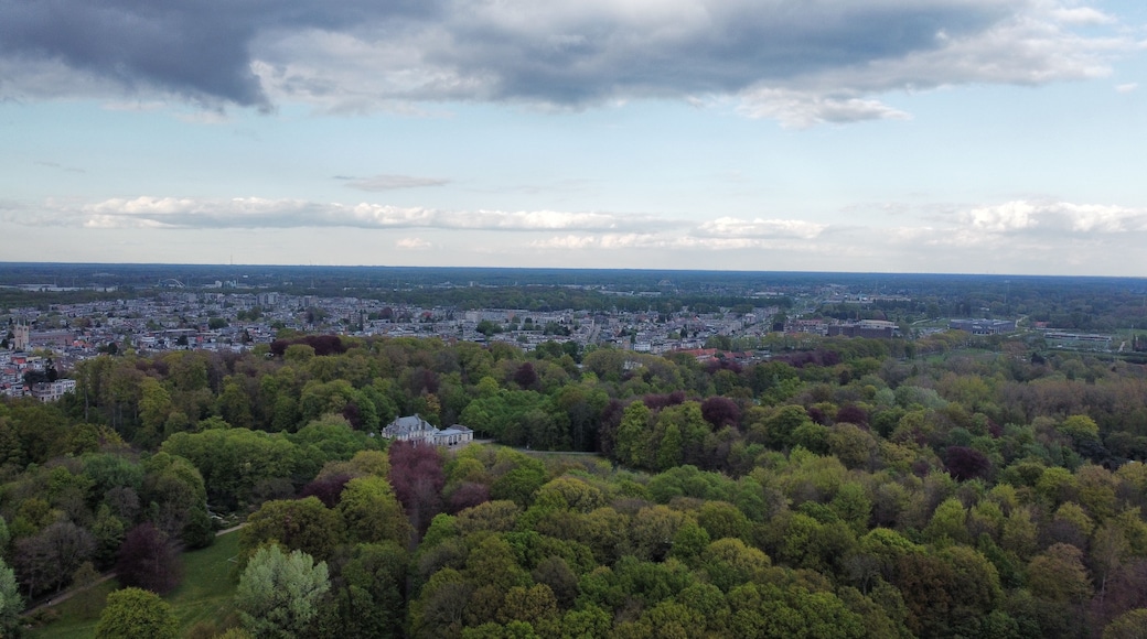 Paisagem urbana com uma floresta densa em primeiro plano e céu nublado acima.