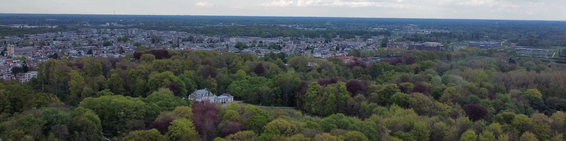A cityscape with a dense forest in the foreground and a cloudy sky above.
