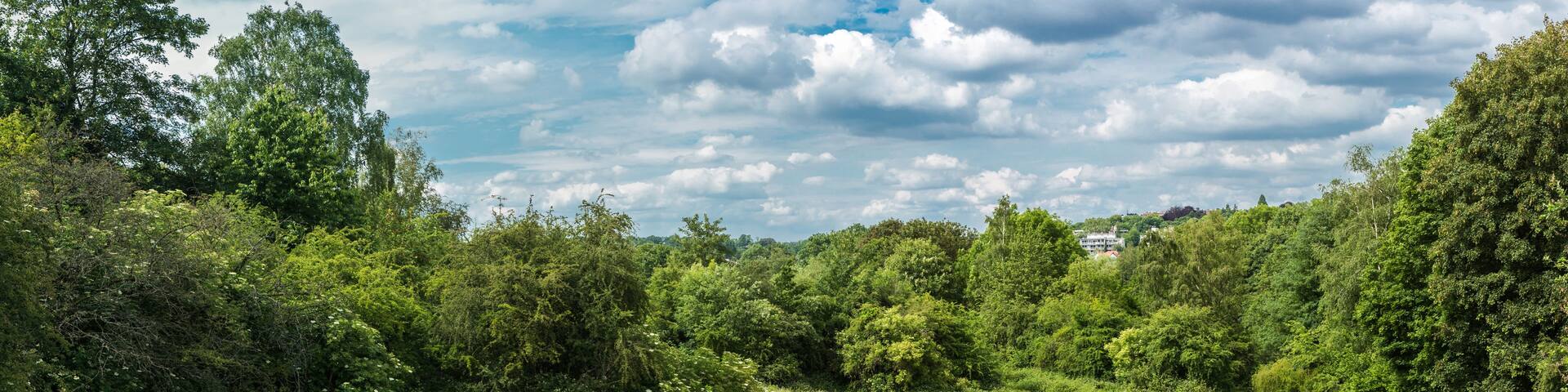 A lush green landscape with a winding dirt path, dense trees, and a partly cloudy sky.