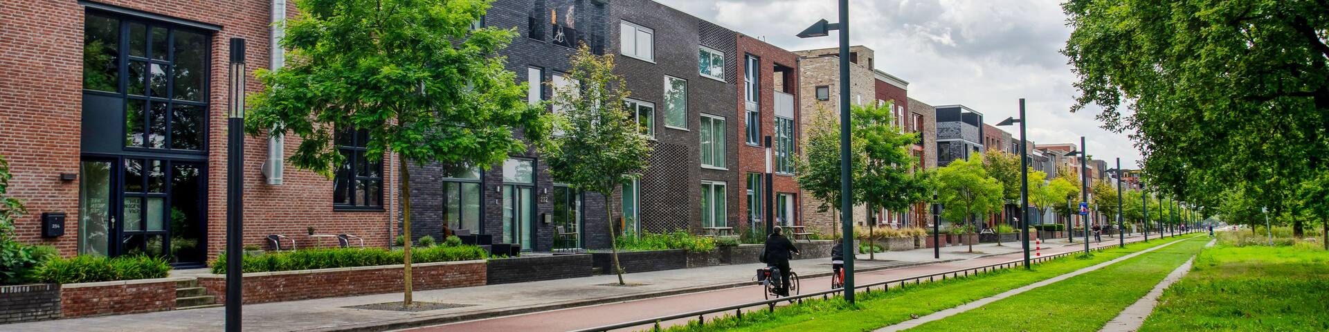 A modern urban street with brick buildings, green trees, and a bike lane.