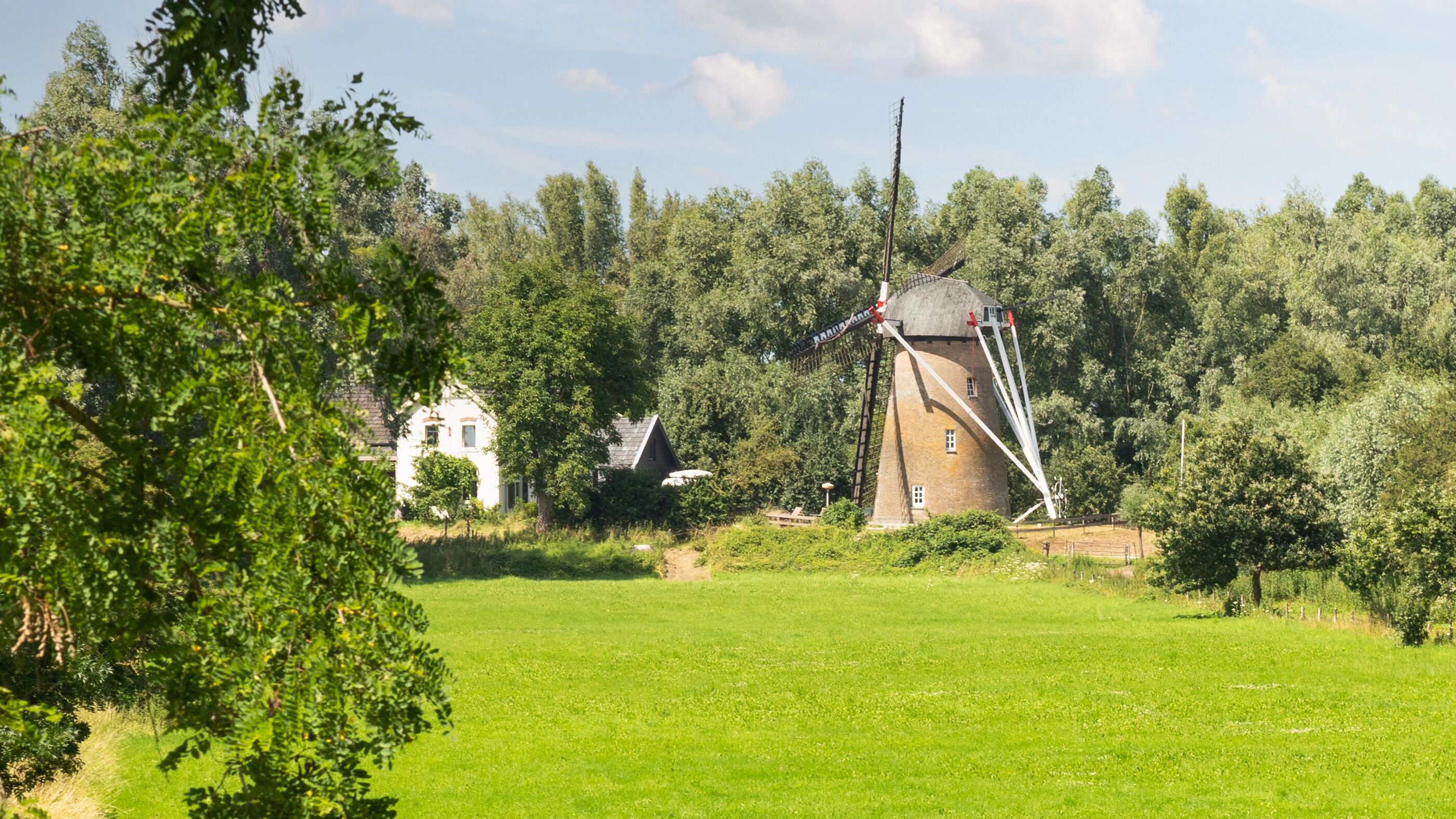 Windmill De Hoop near the Gelderland village of Rijswijk in the Betuwe.