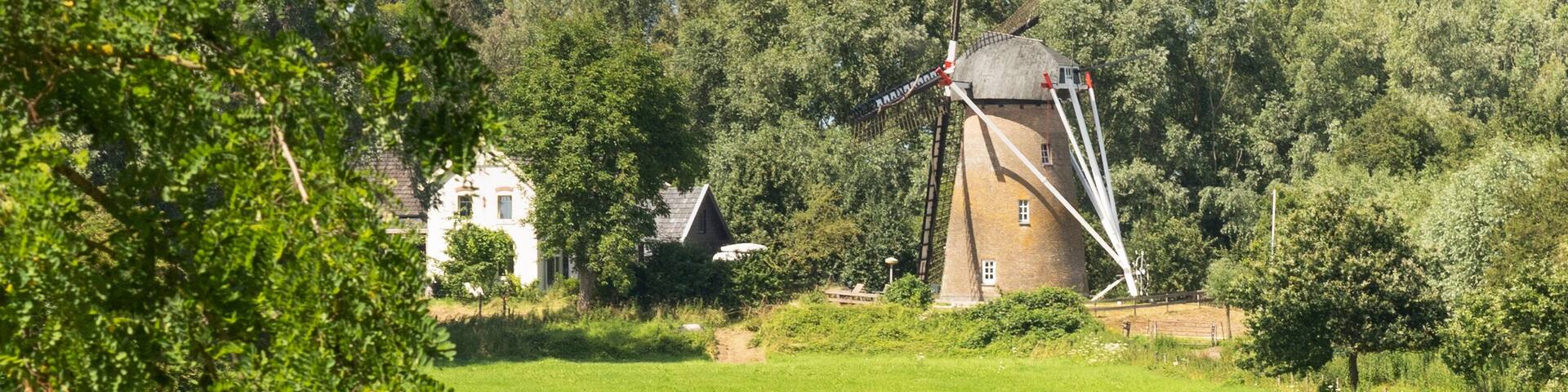 Windmill De Hoop near the Gelderland village of Rijswijk in the Betuwe.