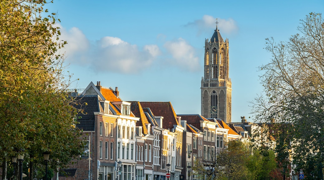 A historic town with traditional architecture, a prominent church tower, and surrounding trees.