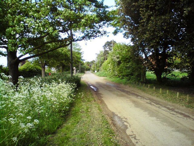 Cordy's Lane Looking back along the lane from the entrance to the Trimley Marshes Nature Reserve.
