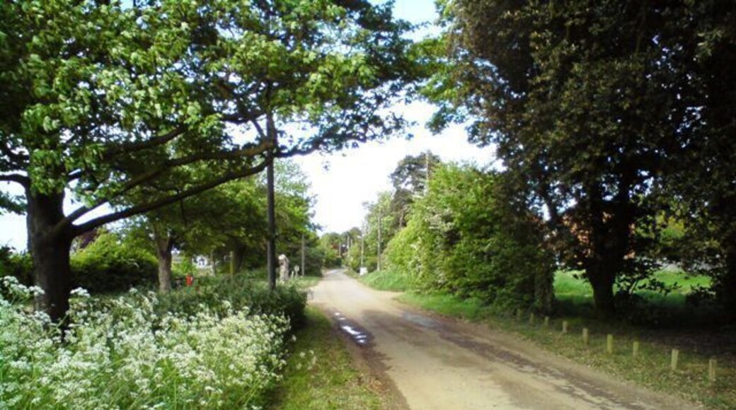 Cordy's Lane Looking back along the lane from the entrance to the Trimley Marshes Nature Reserve.