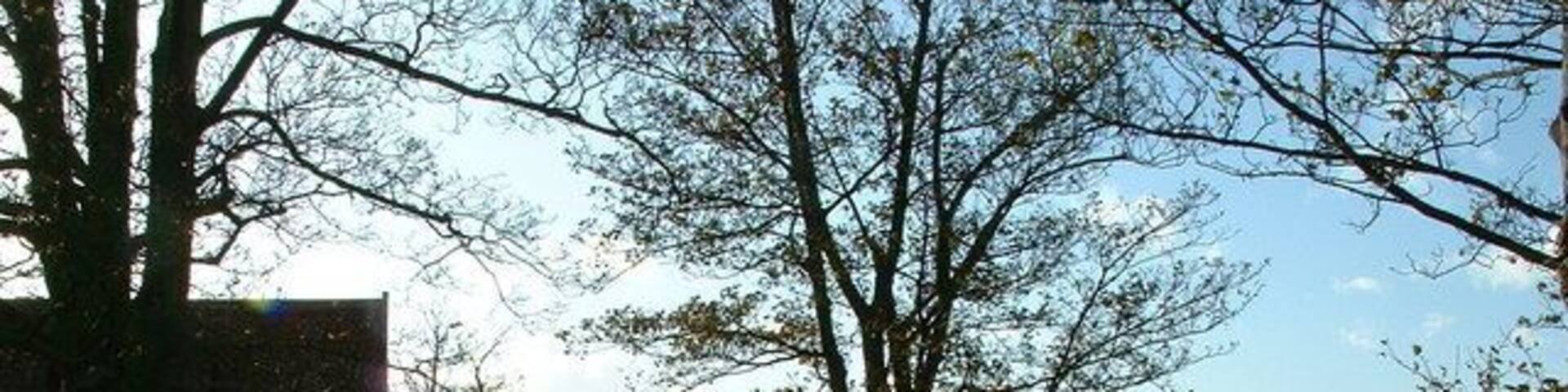 Entrance to Trimley Marshes The entrance to Trimley Marshes with Felixstowe docks in the background.