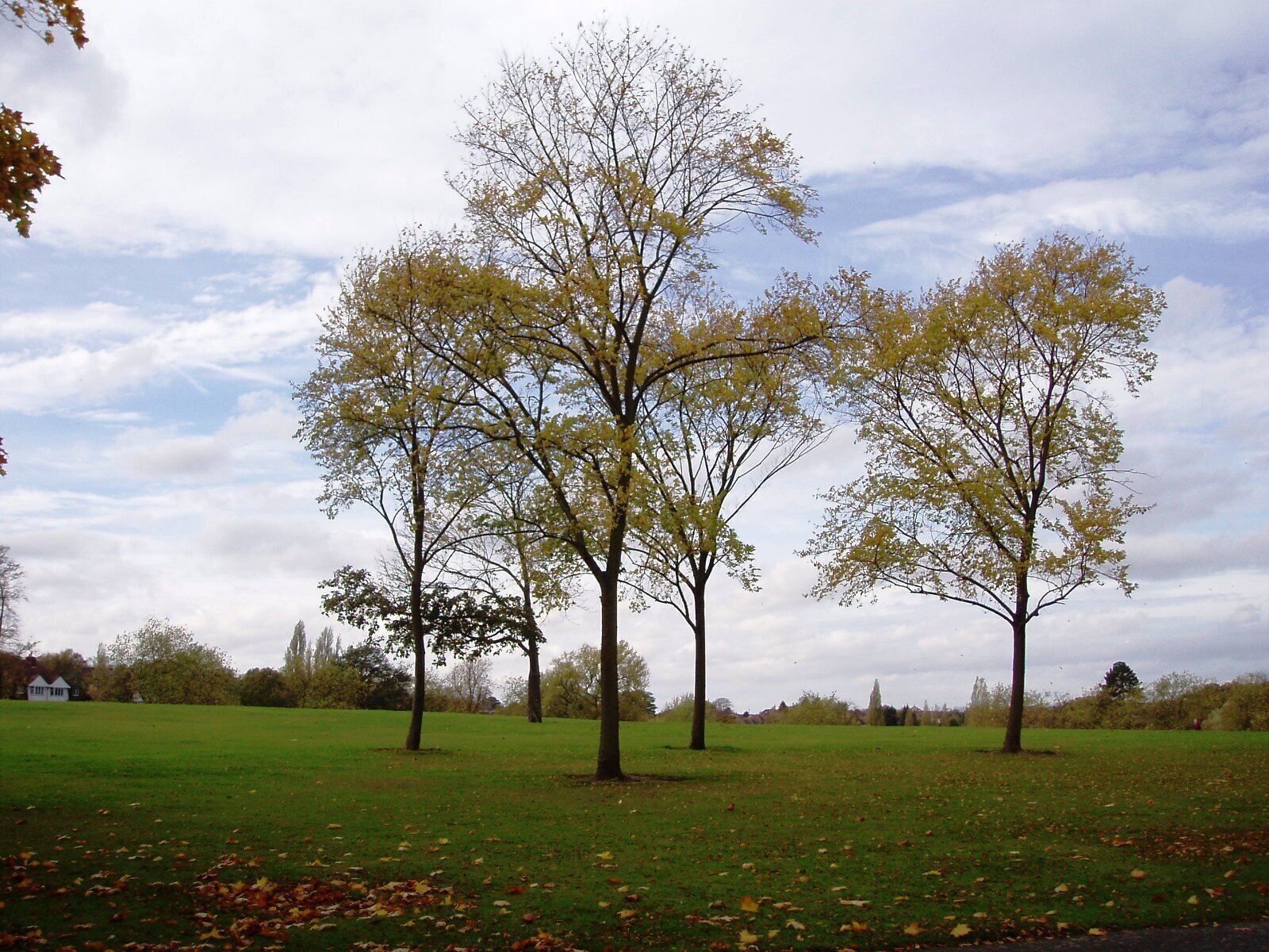 A stretch of playing fields, but hardly unattractive. Photo taken October 2008. Owner: London Borough of Croydon.