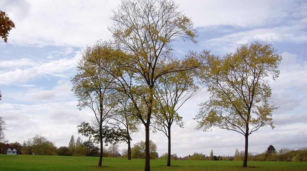 A stretch of playing fields, but hardly unattractive. Photo taken October 2008. Owner: London Borough of Croydon.