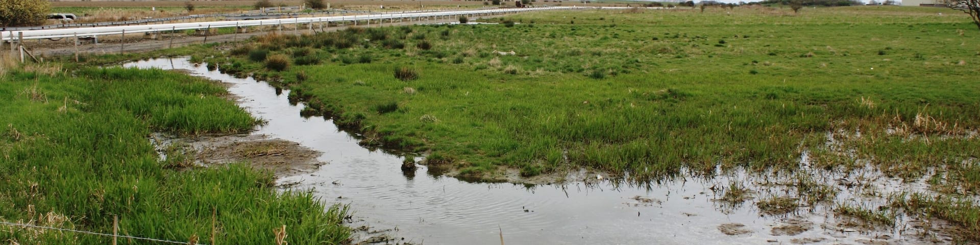 Belasis Beck (view east) This photograph shows a view of Belasis Beck as it heads towards the north-east from the Cowpen Bewley Road near Haverton Hill. The picture was taken looking in a north-easterly direction towards Saltholme Brine Reservoirs.