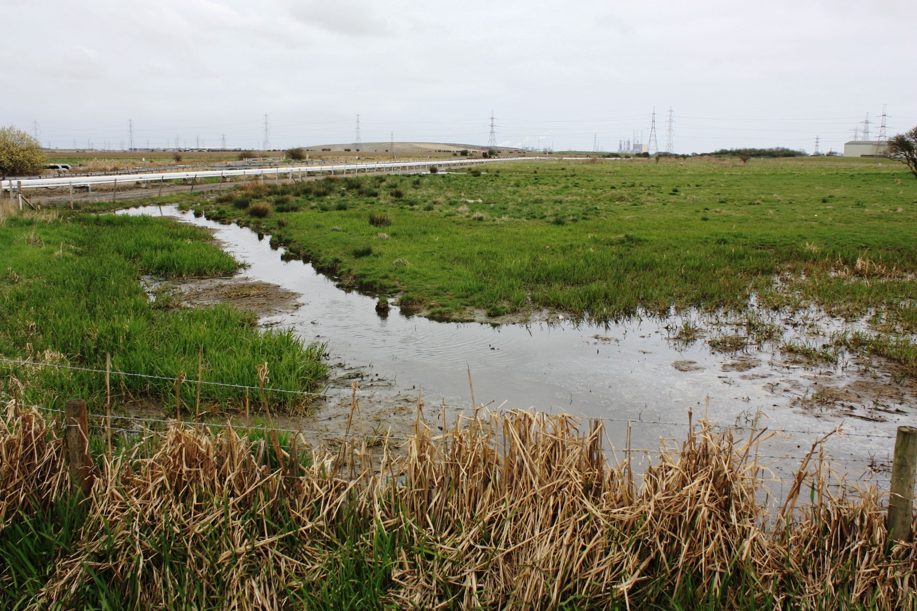 A rural landscape with a small stream, green fields, and power lines in the distance.