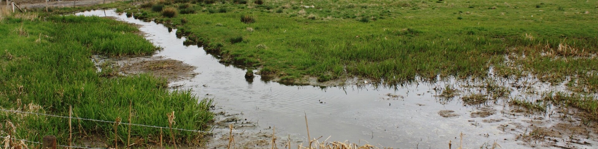 A rural landscape with a small stream, green fields, and power lines in the distance.