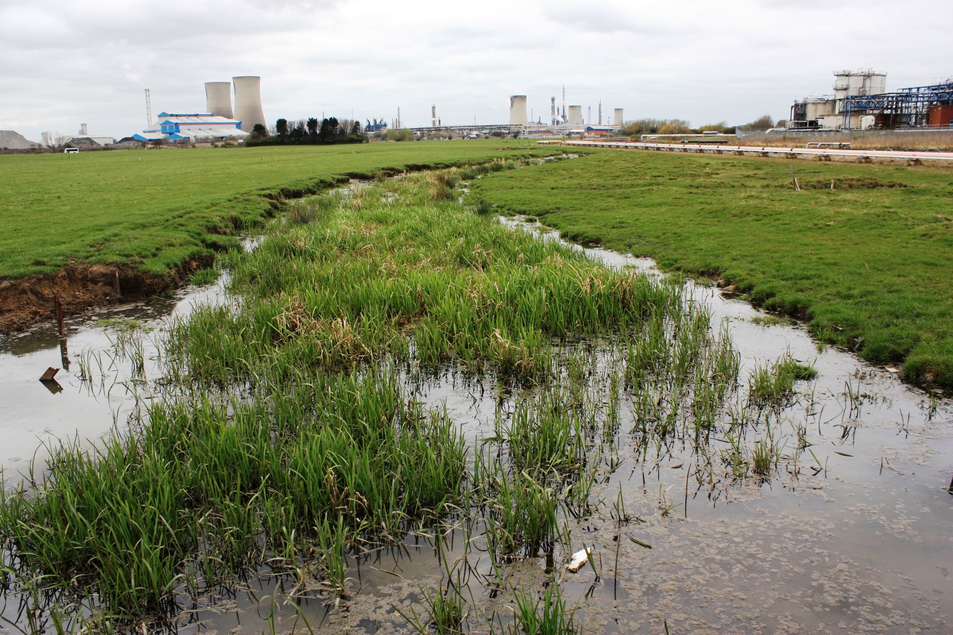 Belasis Beck (view west) This photograph shows a view of Belasis Beck as it approaches the Cowpen Bewley Road near Haverton Hill. The picture was taken looking upstream in a west-south-westerly direction towards the B1275 road.