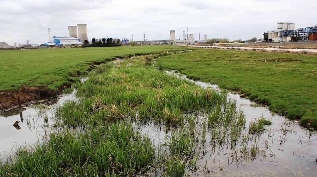 Belasis Beck (view west) This photograph shows a view of Belasis Beck as it approaches the Cowpen Bewley Road near Haverton Hill. The picture was taken looking upstream in a west-south-westerly direction towards the B1275 road.
