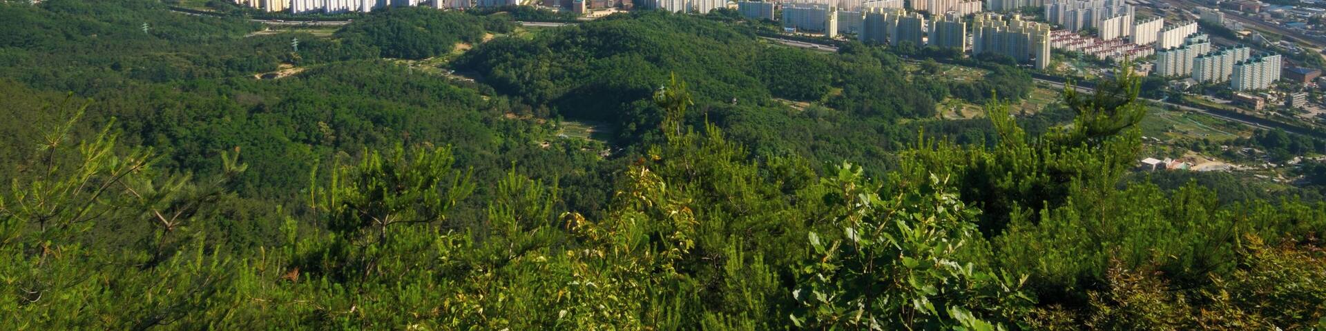 Cityscape of the south side of Daejeon, South Korea. Taken from Bonghwangjeong at Gyejoksan, which is in the northeast direction of the city.