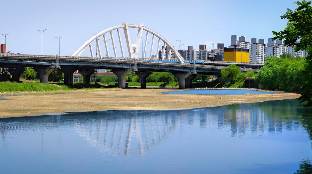 Gwangsan-gu