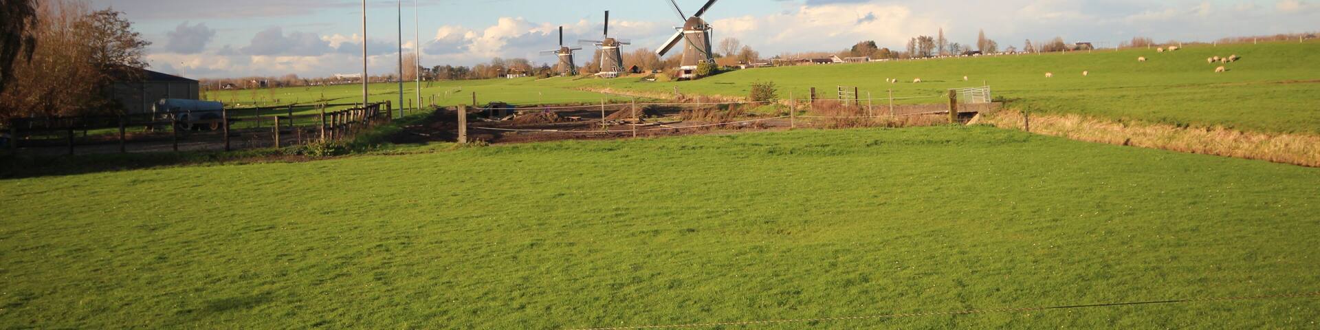 Windmills of the wilsveen water system in the driemanspolder. Stompwijk, Netherlands