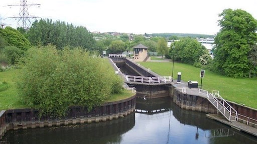 Lock on the Don A lock on the River Don, bypassing the weir near Aldwarke.