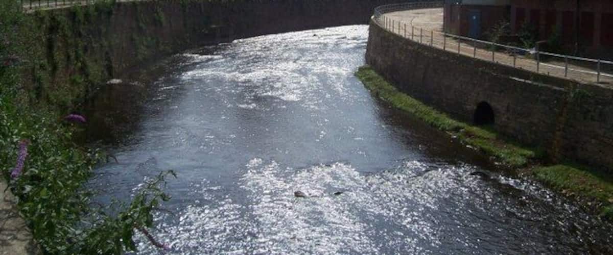 The River Don near Attercliffe Cemetery This section of the Don once took a longer loop South of here. The river was diverted and canalised by the Duke of Norfolk Estate in 1884. The left bank of the in this picture is part of the Five Weirs Walk.