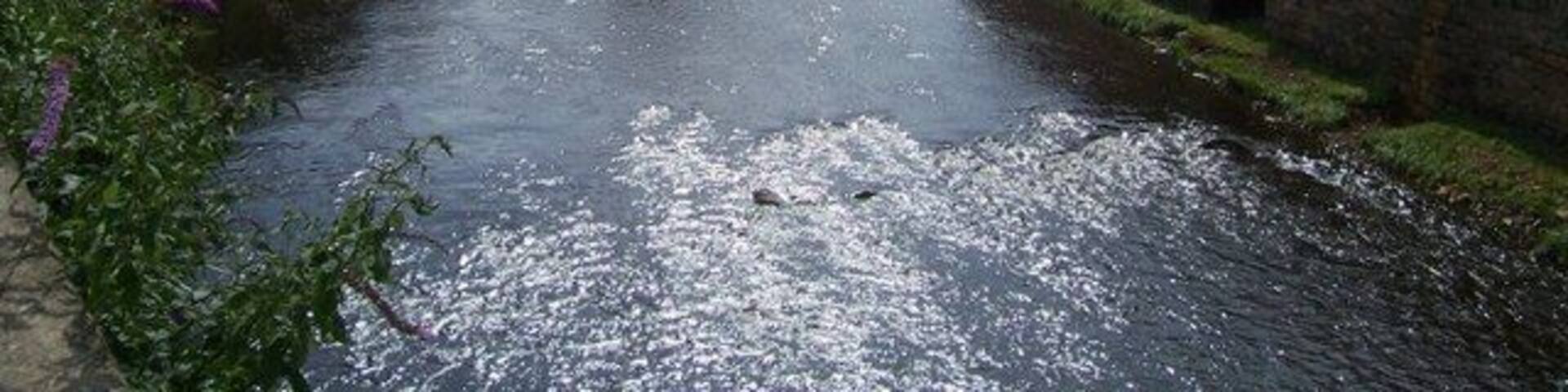 The River Don near Attercliffe Cemetery This section of the Don once took a longer loop South of here. The river was diverted and canalised by the Duke of Norfolk Estate in 1884. The left bank of the in this picture is part of the Five Weirs Walk.
