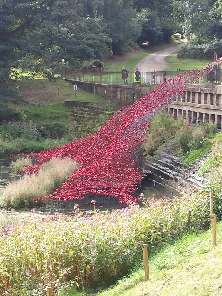 These poppys were originally displayed at the tower of london in tribute to the solders from ww1. They are now being displayed at the yorkshire sculpture park. 
#colourful #bestof5