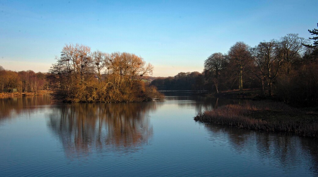 British Isles rural and coastal Yorkshire Sculpture Park