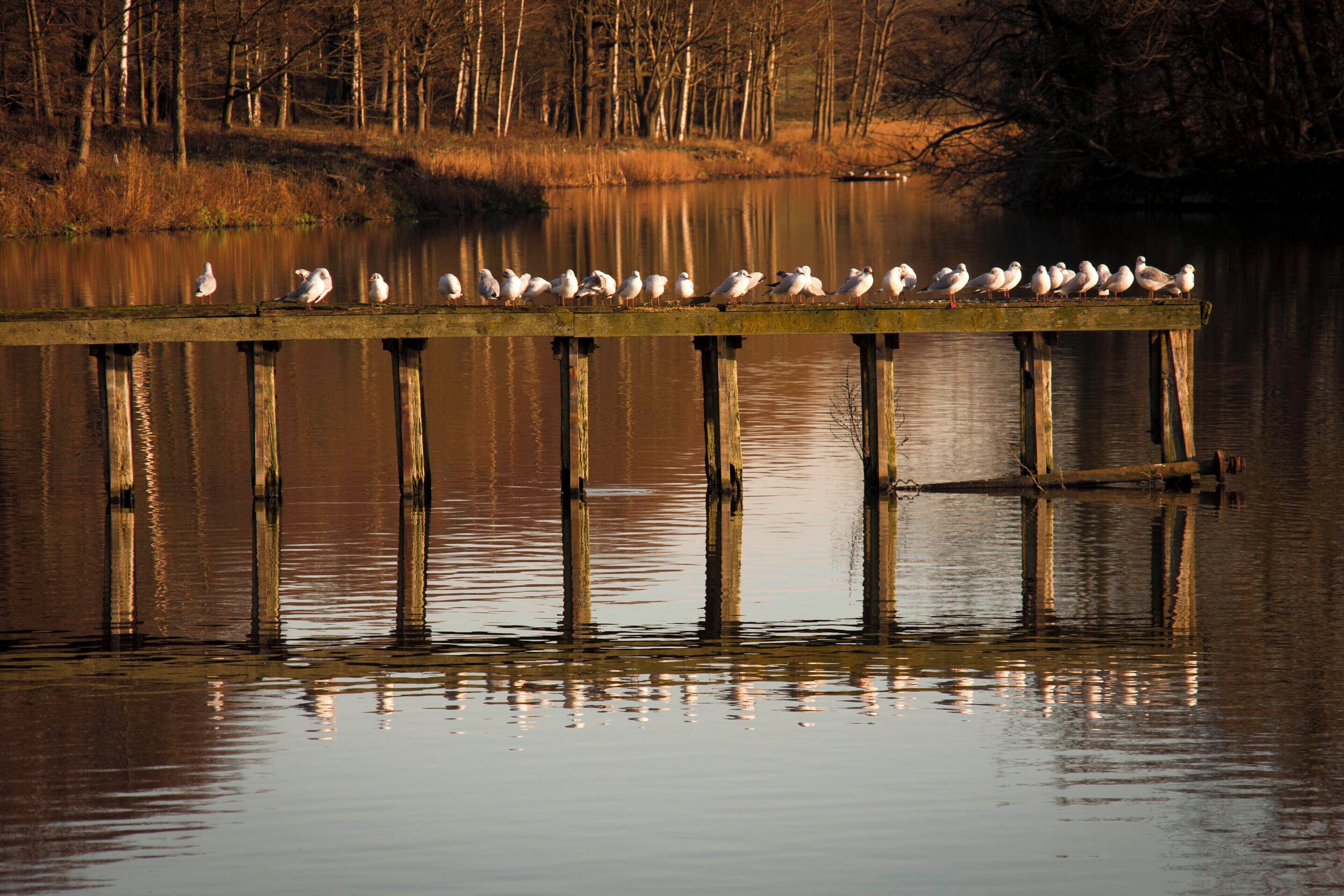 British Isles rural and coastal Yorkshire Sculpture Park general gallery