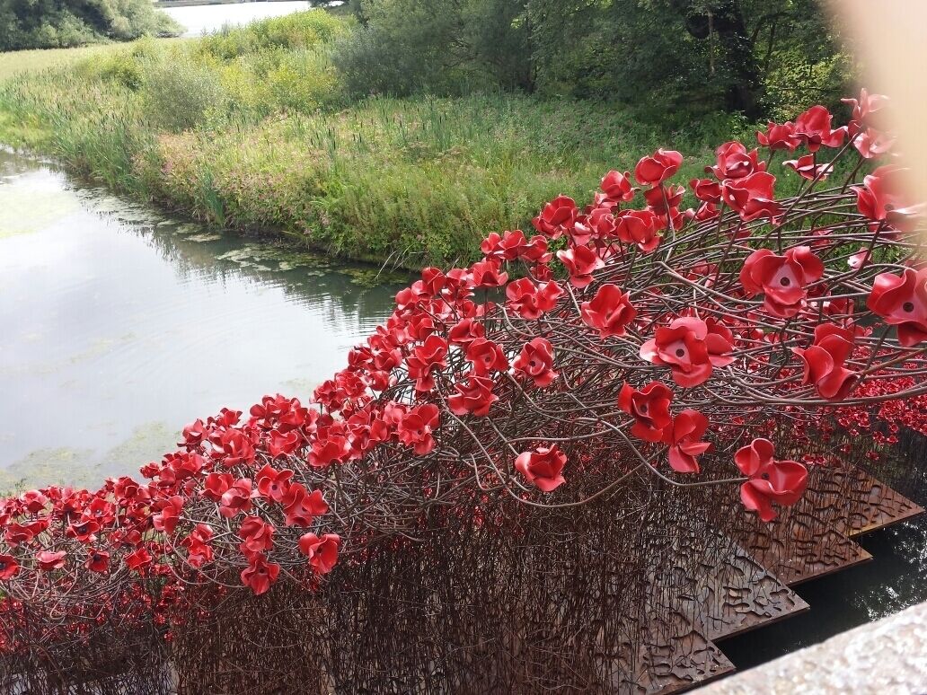 Poppy wave at the yorkshire sculpture park. Which also features sculptures from henery moore who was born in castleford. 