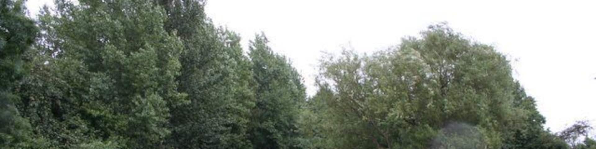 Off Willow Drive, Handsworth. Just off Willow Drive 231310 is this flat grassed area, presumably designated as a kids play area. The fence to the left of shot is atop the railway cutting.