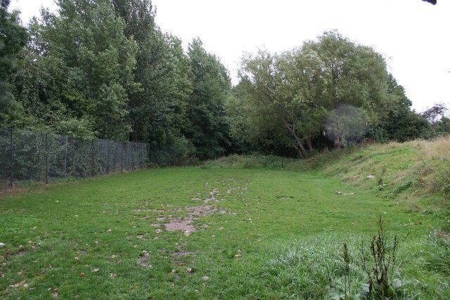 A grassy field with a fence, trees, and a hill.