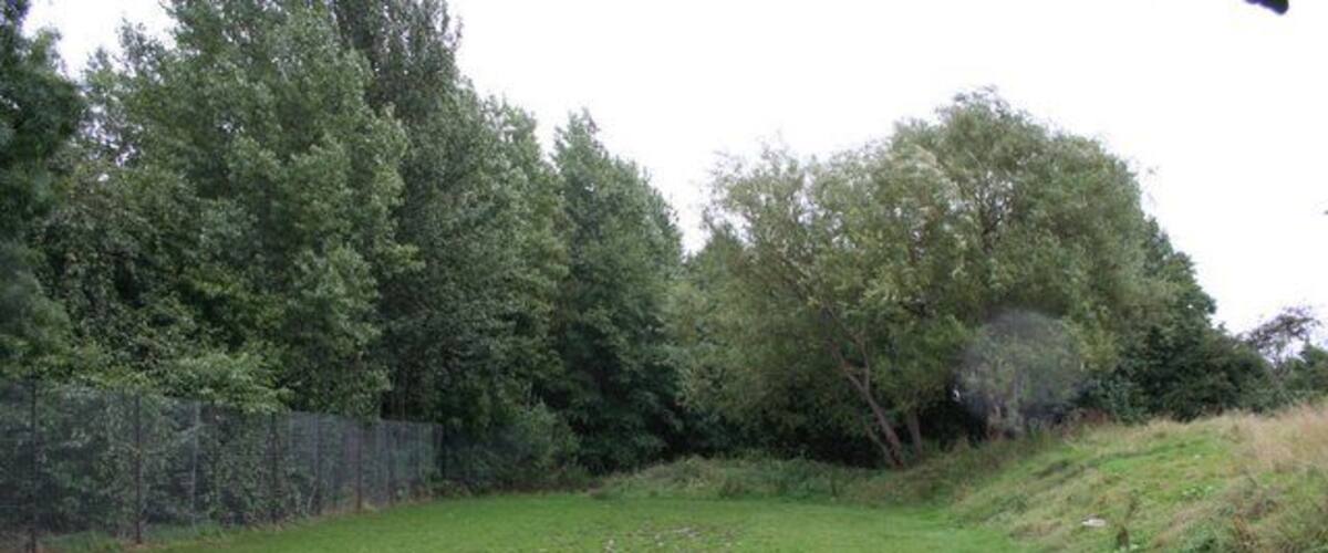 A grassy field with a fence, trees, and a hill.