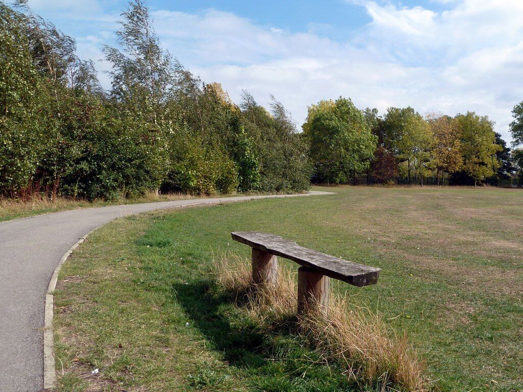 A park with a curved path, a wooden bench, and trees with green and yellow foliage.